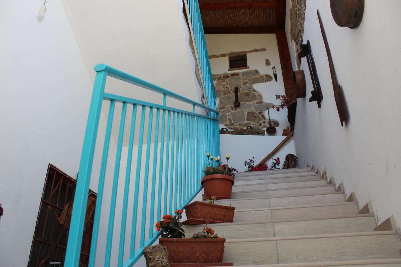 Bed And Breakfast Murales 奥尔戈索洛 外观 照片